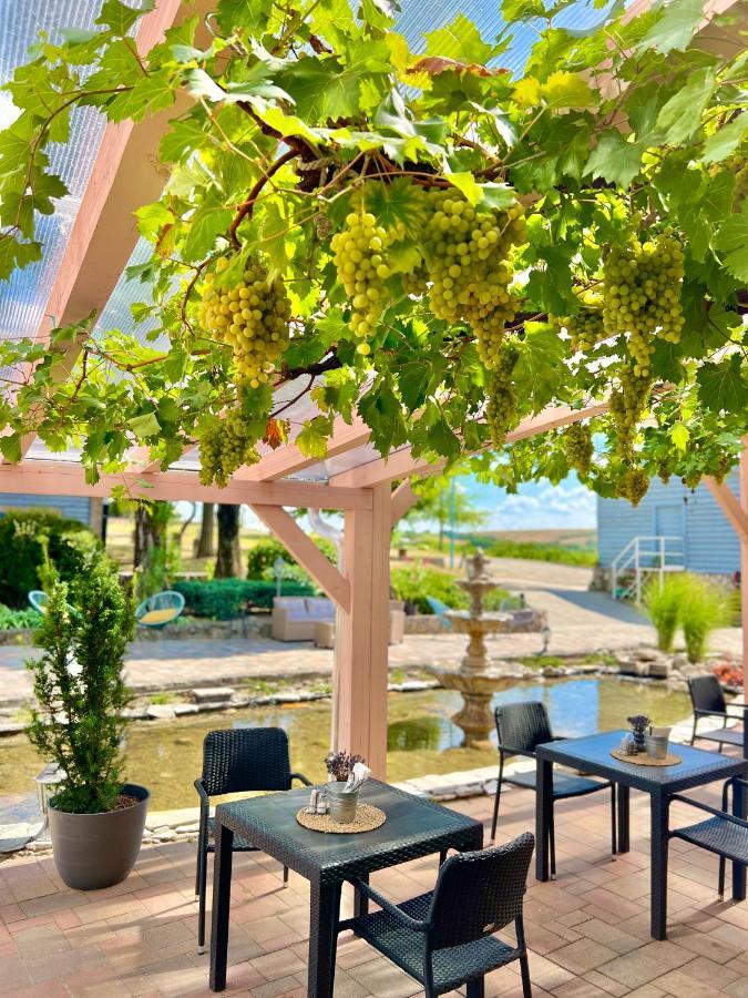 Hilltop Borbirtok & Etterem Hotel Neszmely Exterior photo